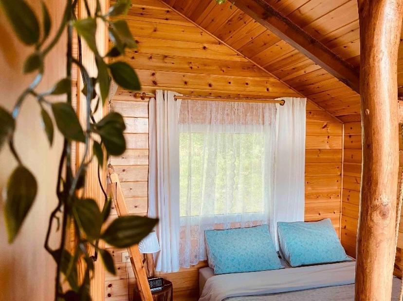 The Treevilla Ioannina Ngoại thất bức ảnh